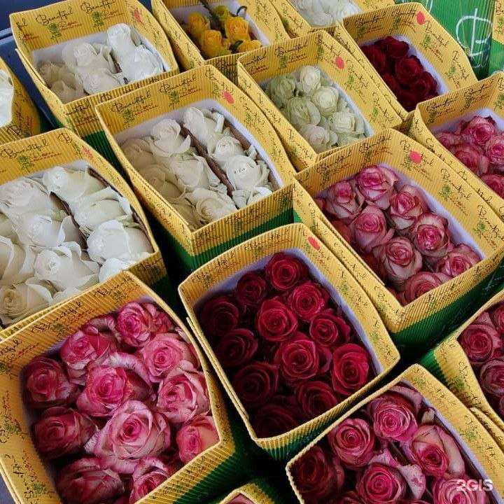 Отзывы на компанию Paradise в Ногинске c фото