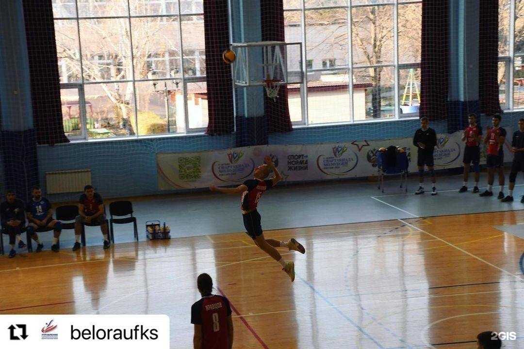 Отзывы на компанию СШОР по волейболу в г. Краснодар c фото