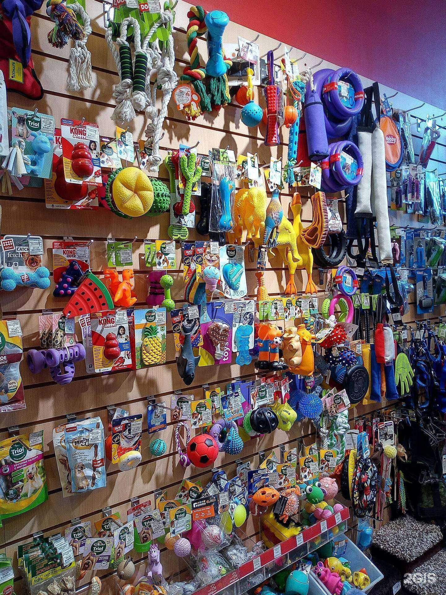 Отзывы на компанию Zveruga.net в г. Сочи c фото