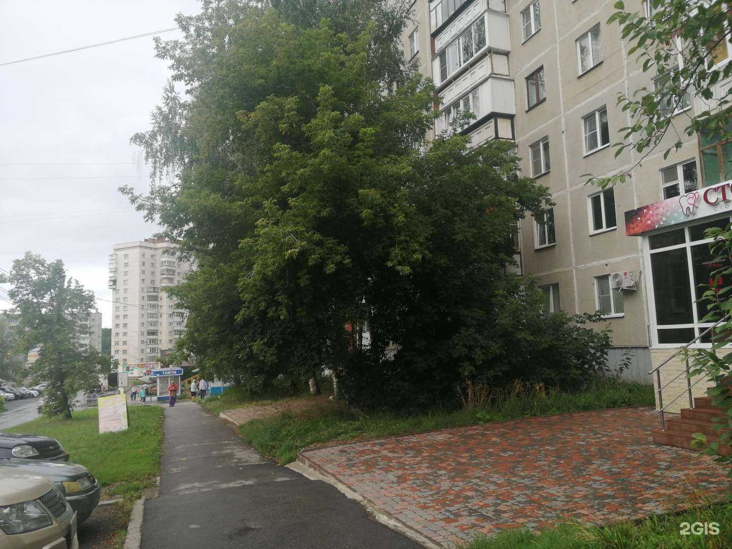 Отзывы на компанию СТОМА в г. Миасс c фото