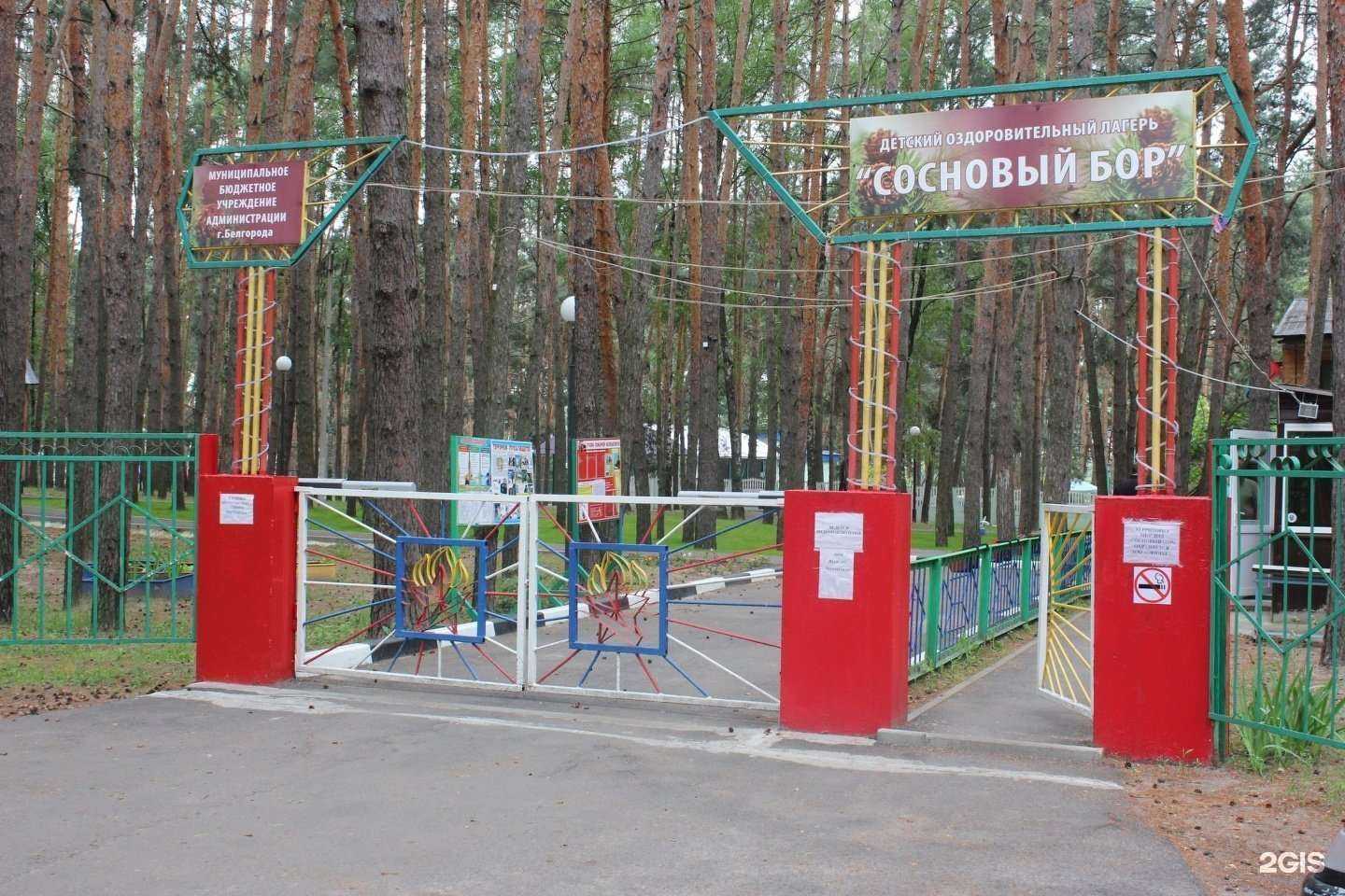 Отзывы на компанию Сосновый Бор в Белгороде c фото