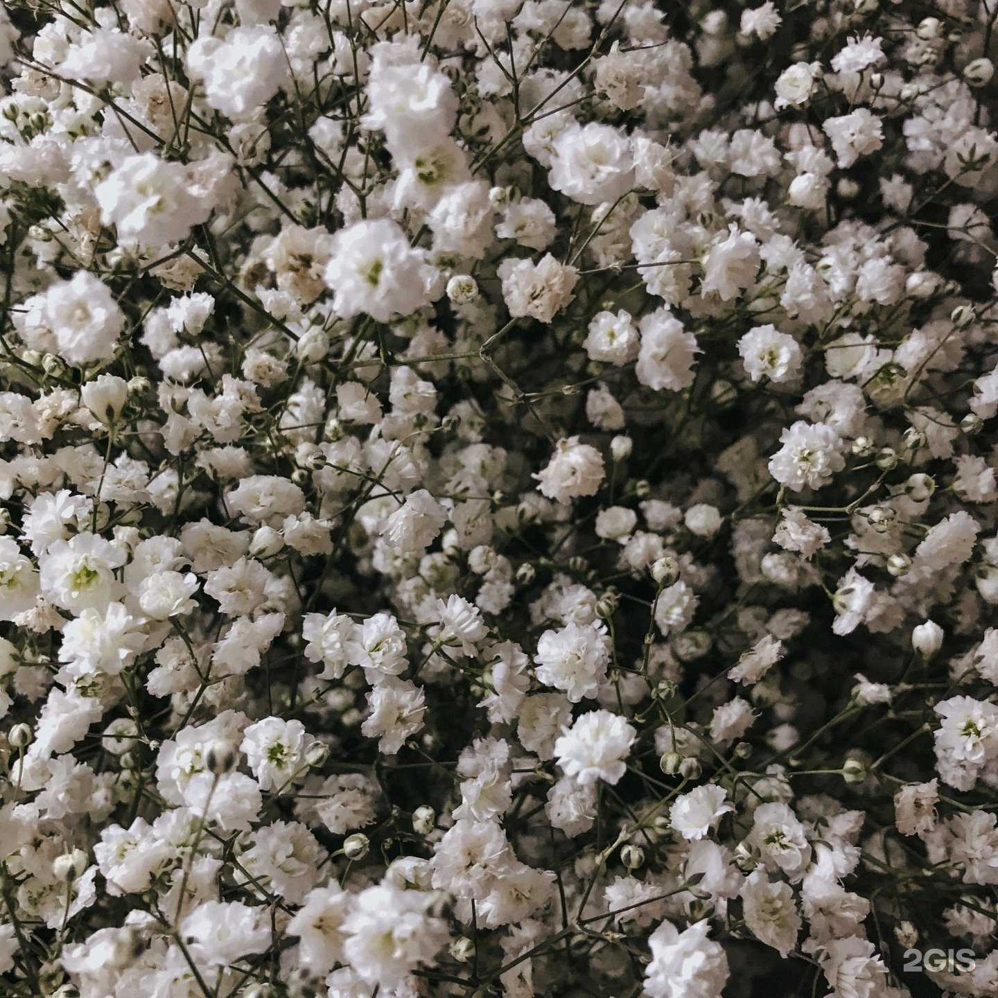 Отзывы на компанию Процветай в г. Екатеринбург c фото