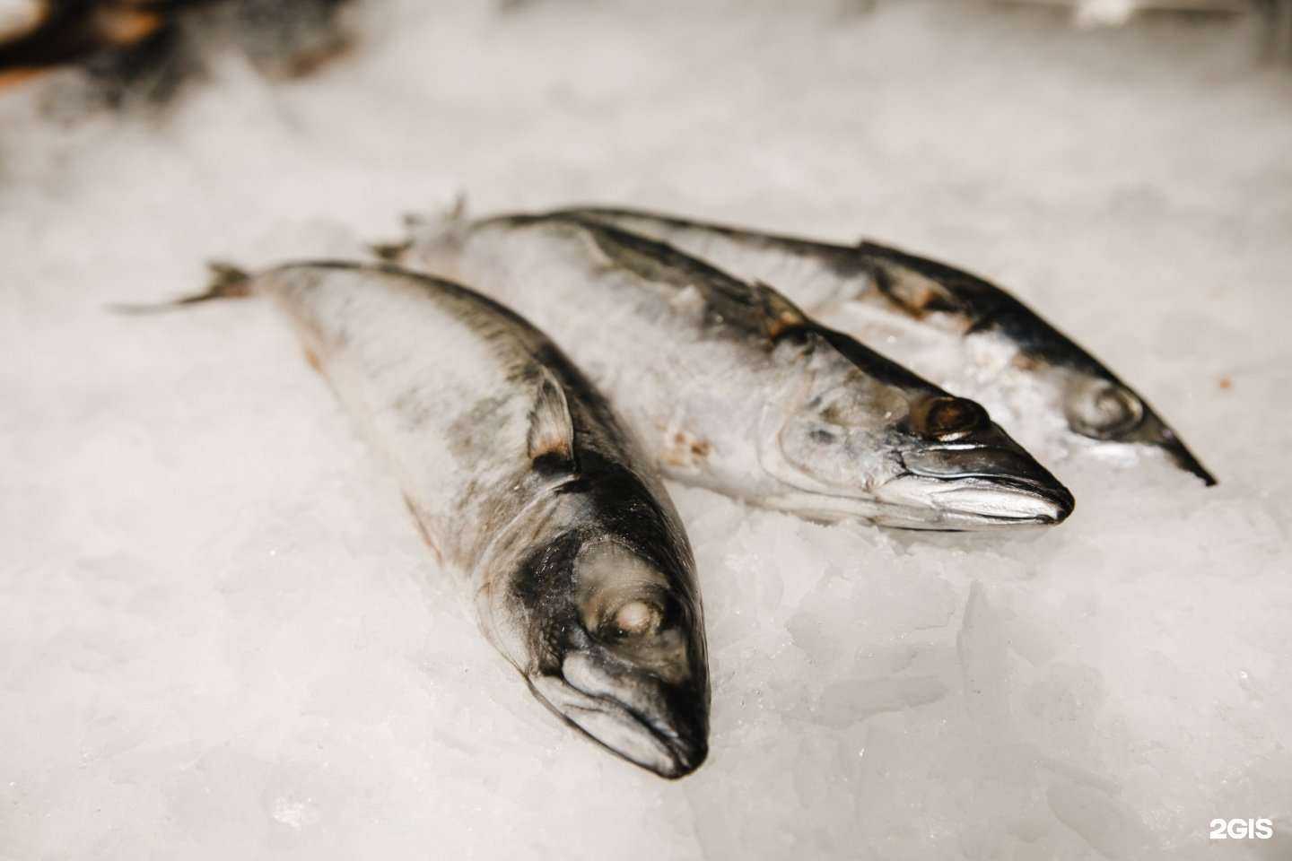 Отзывы на компанию Рыбный магазин в Новосибирске c фото