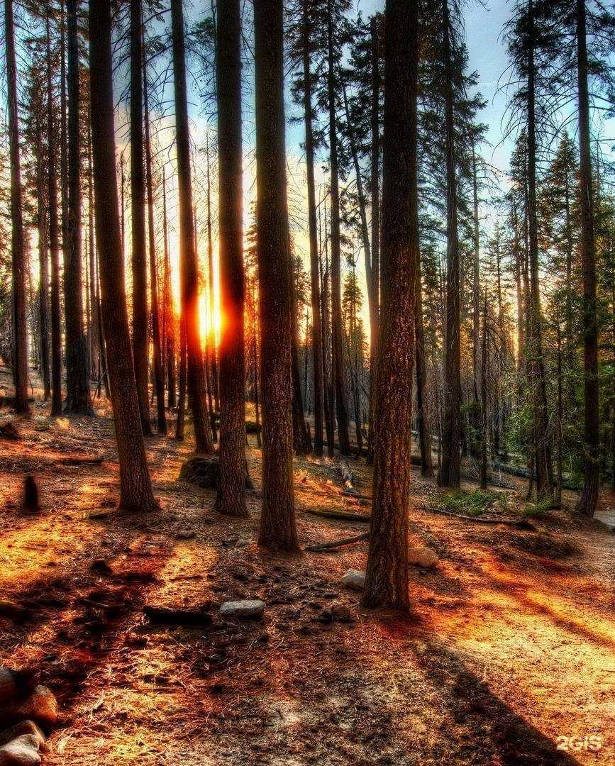 Отзывы на компанию Ореол Здоровья в г. Чебоксары c фото