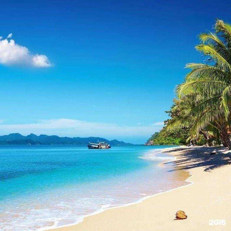 Отзывы на компанию Дон Кихот в г. Самара c фото