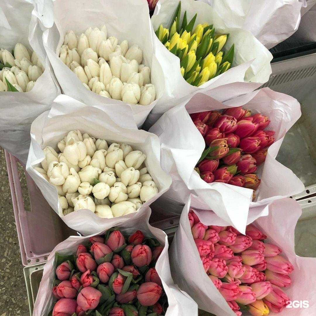 Отзывы на компанию Орхидея в Тамбове c фото