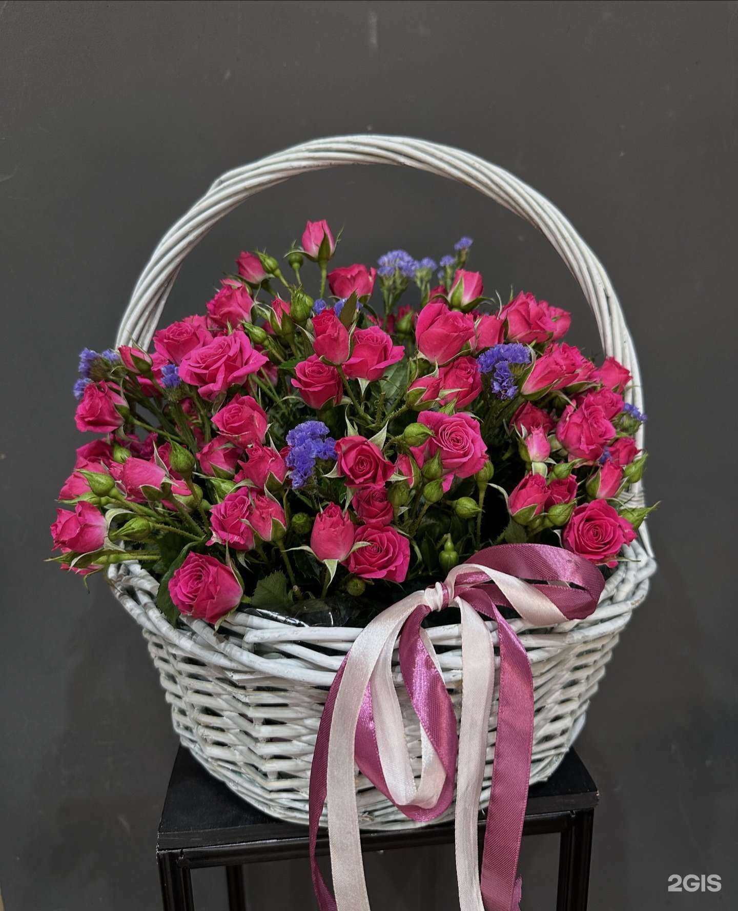 Отзывы на компанию Mono в Ставрополе c фото