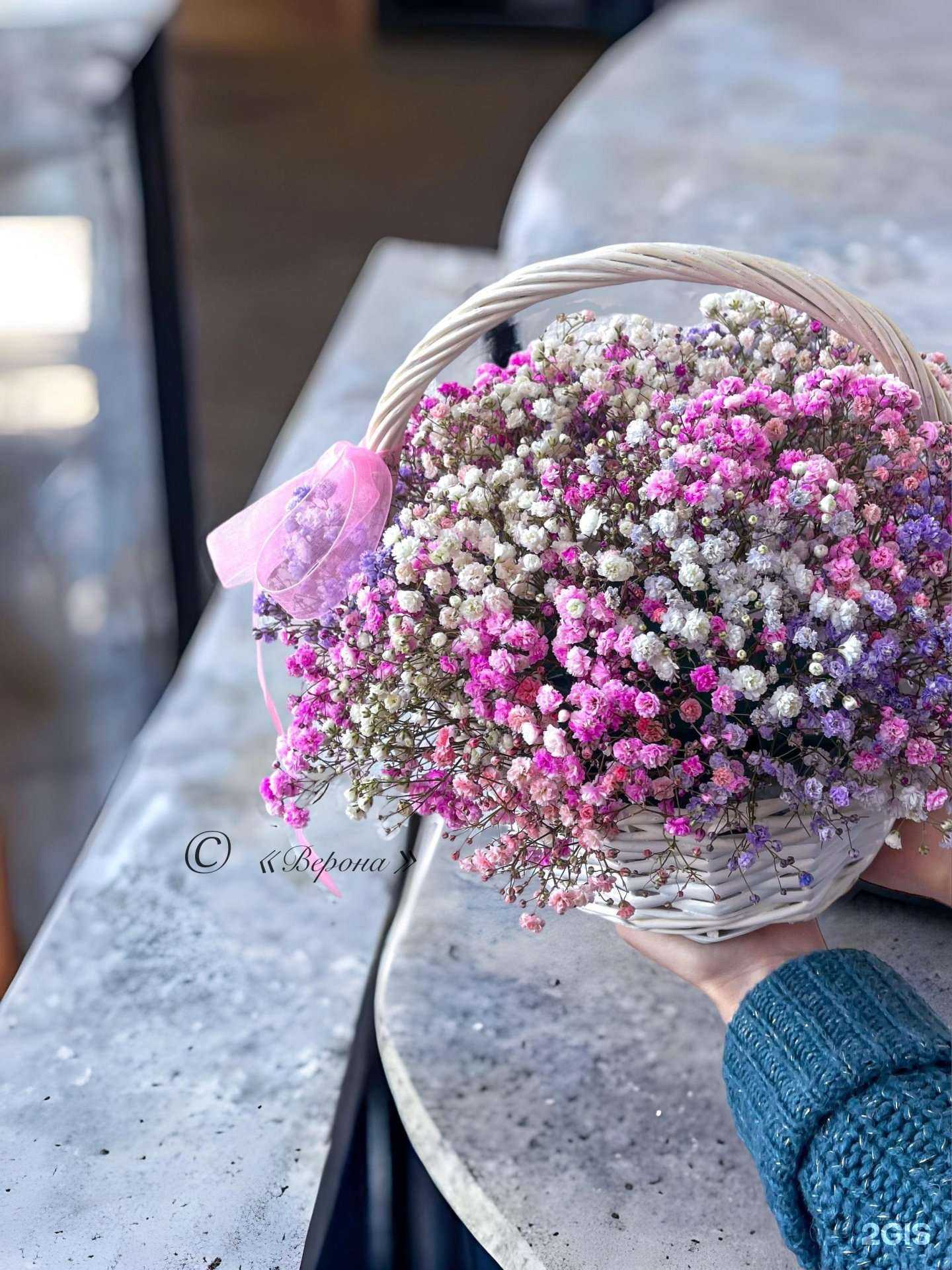 Отзывы на компанию Верона в г. Владивосток c фото