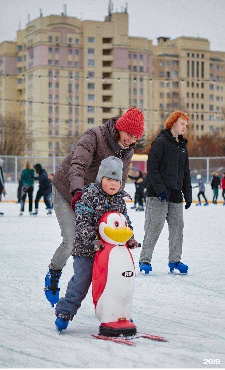 Отзывы на компанию Пингвин в г. Владимир c фото