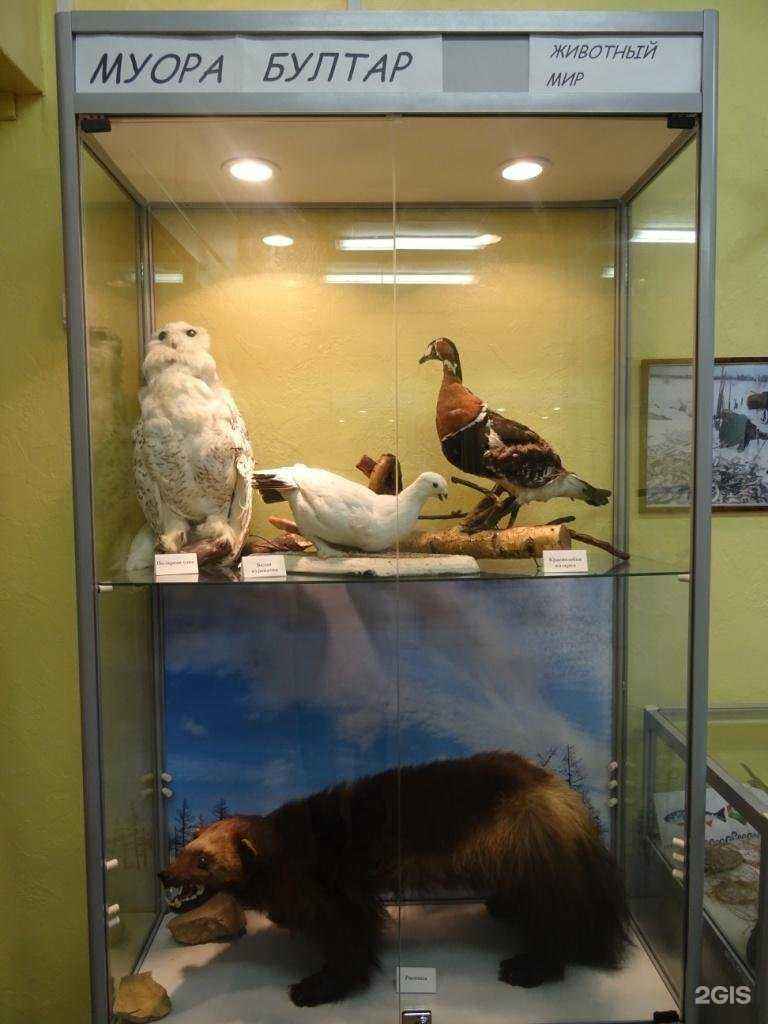 Отзывы на компанию Лицей №3 в Норильске c фото