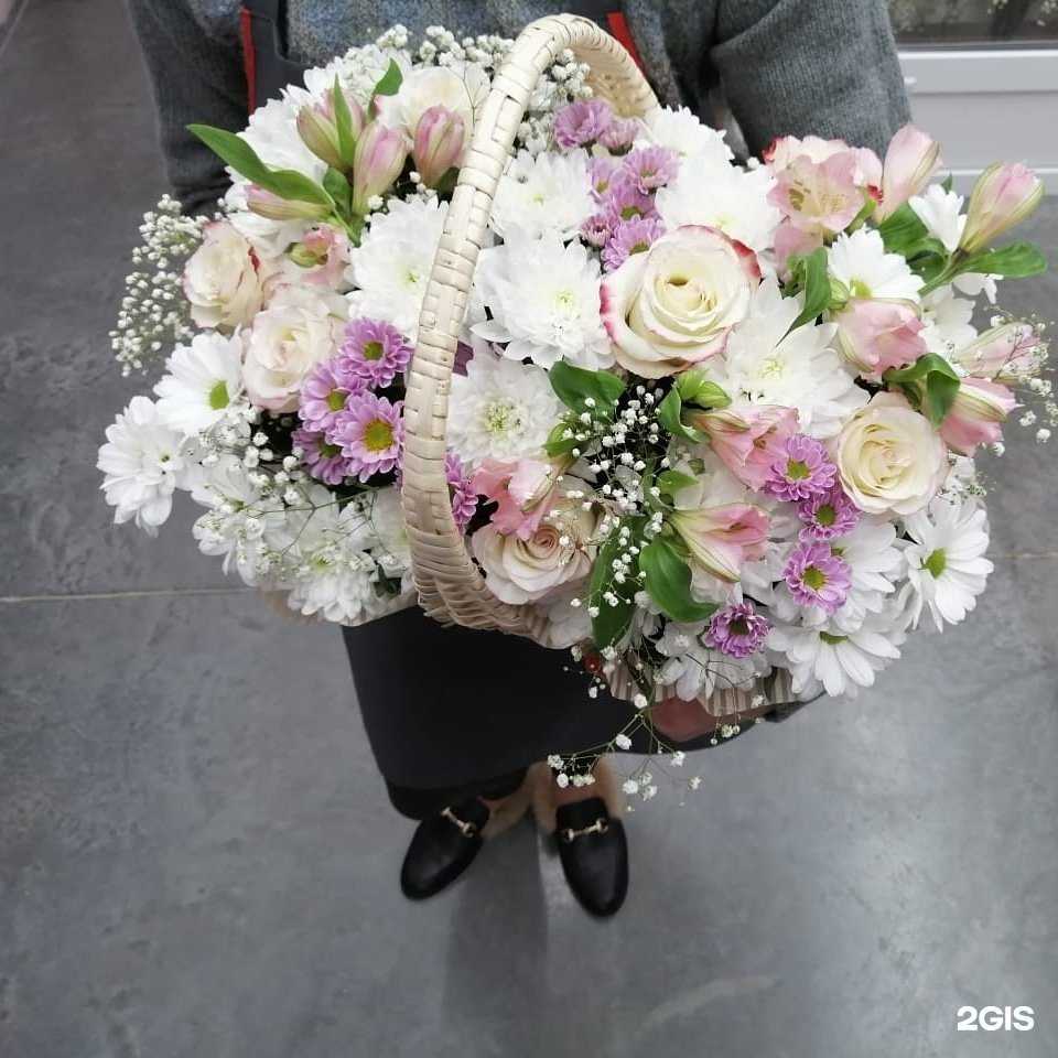 Отзывы на компанию Бузина в Барнауле c фото