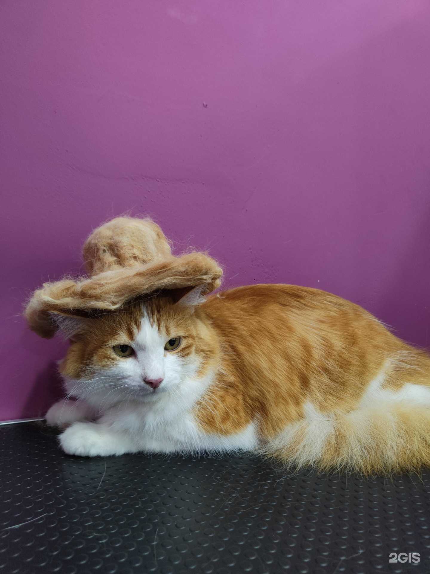 Отзывы на компанию Голливуд в г. Коммунарка c фото