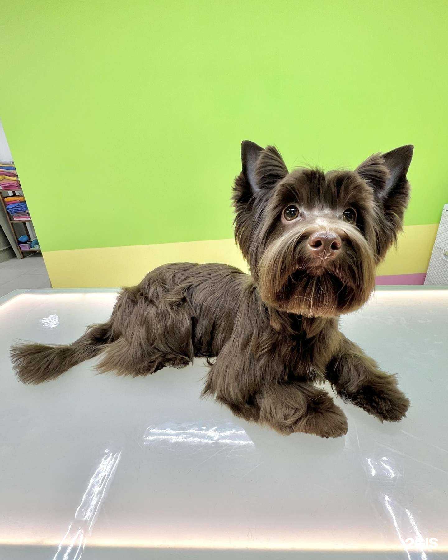 Отзывы на компанию Матильда в г. Сочи c фото