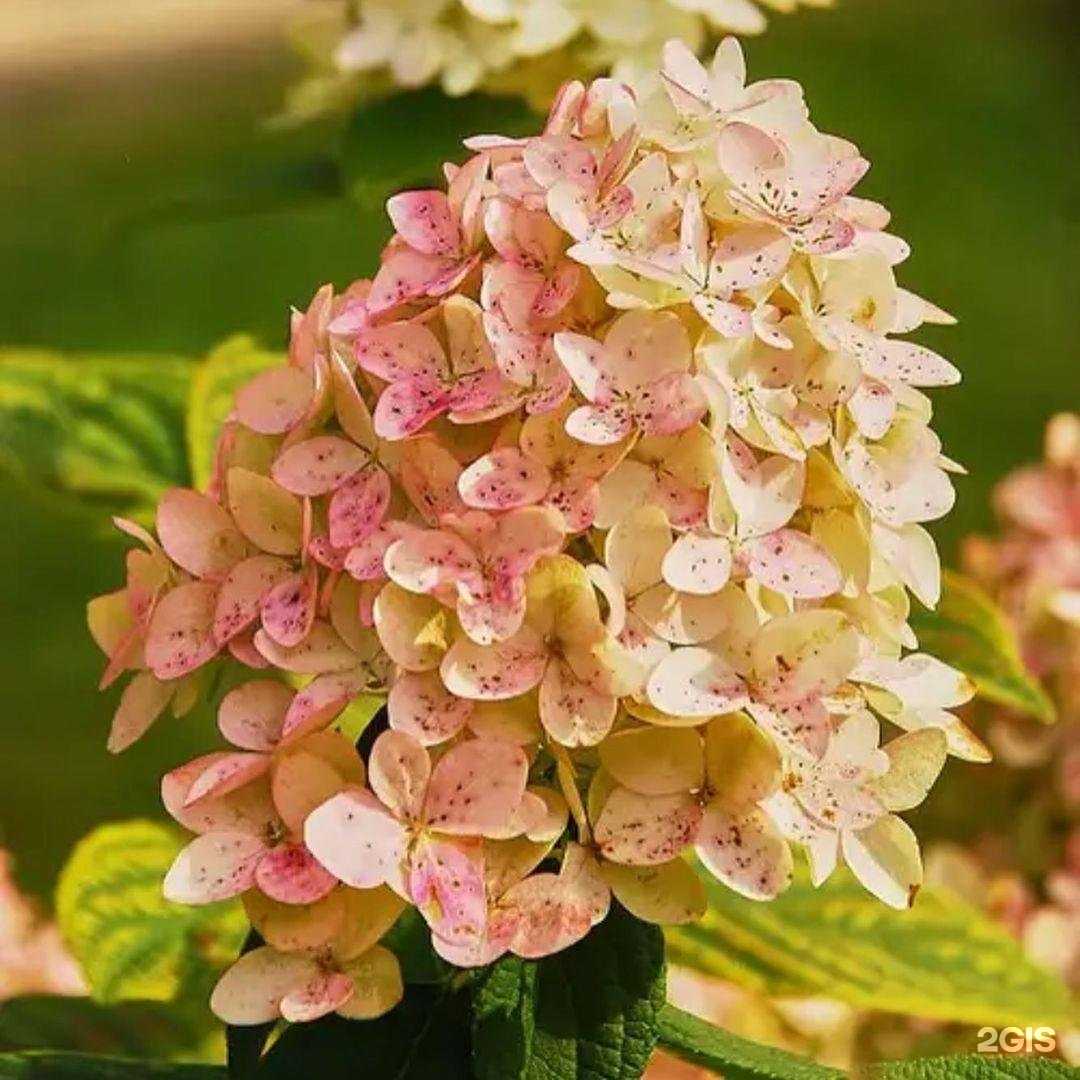 Отзывы на компанию Садовые штучки в г. Наро-Фоминск c фото