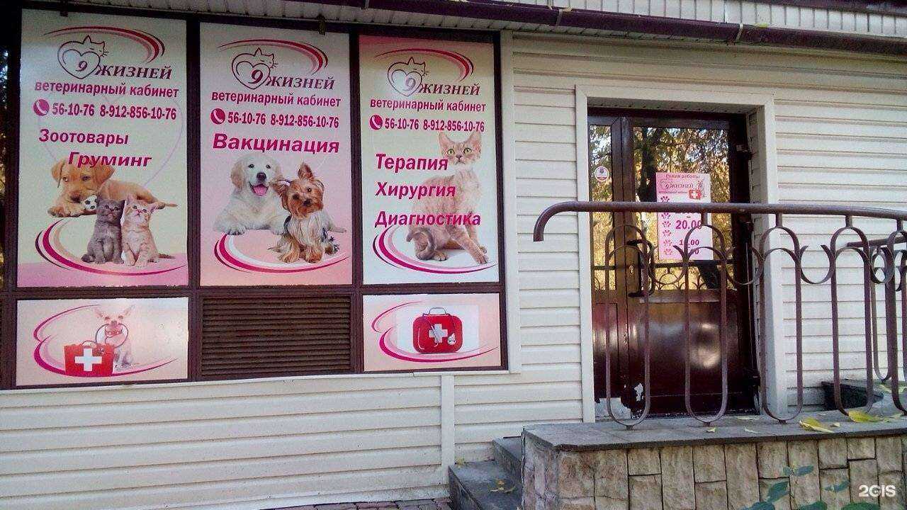 Отзывы на компанию 9 жизней в г. Ижевск c фото