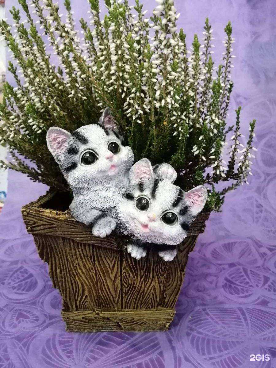 Отзывы на компанию Салон цветов в г. Салават c фото