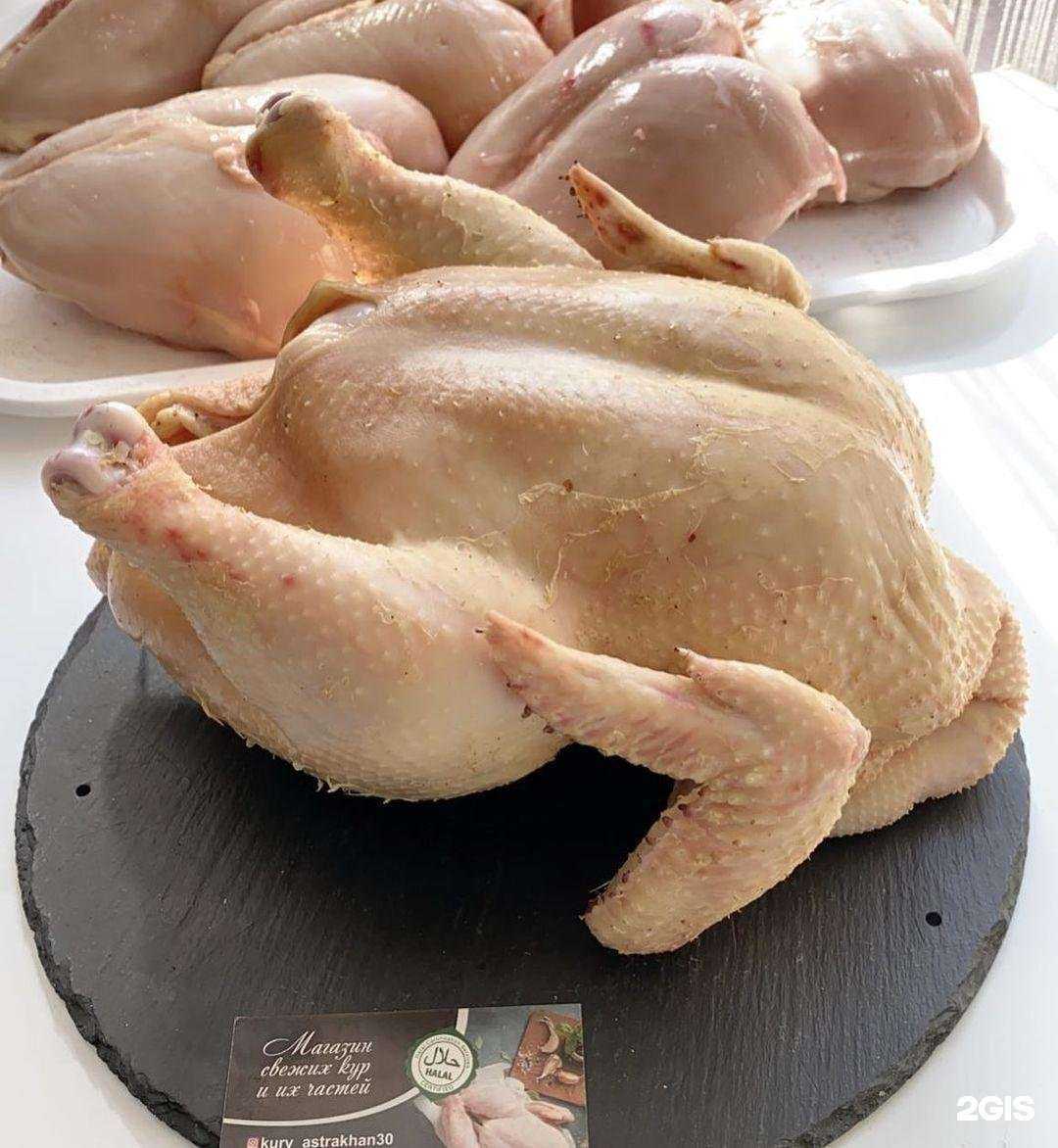 Отзывы на компанию Курочка в Астрахани c фото