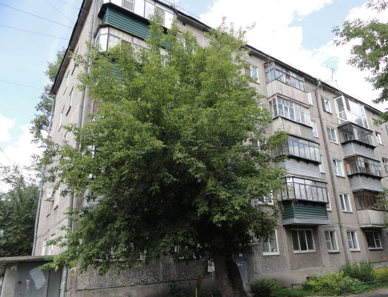 Отзывы на компанию Дарья в Кургане c фото - фотография 2 из 2