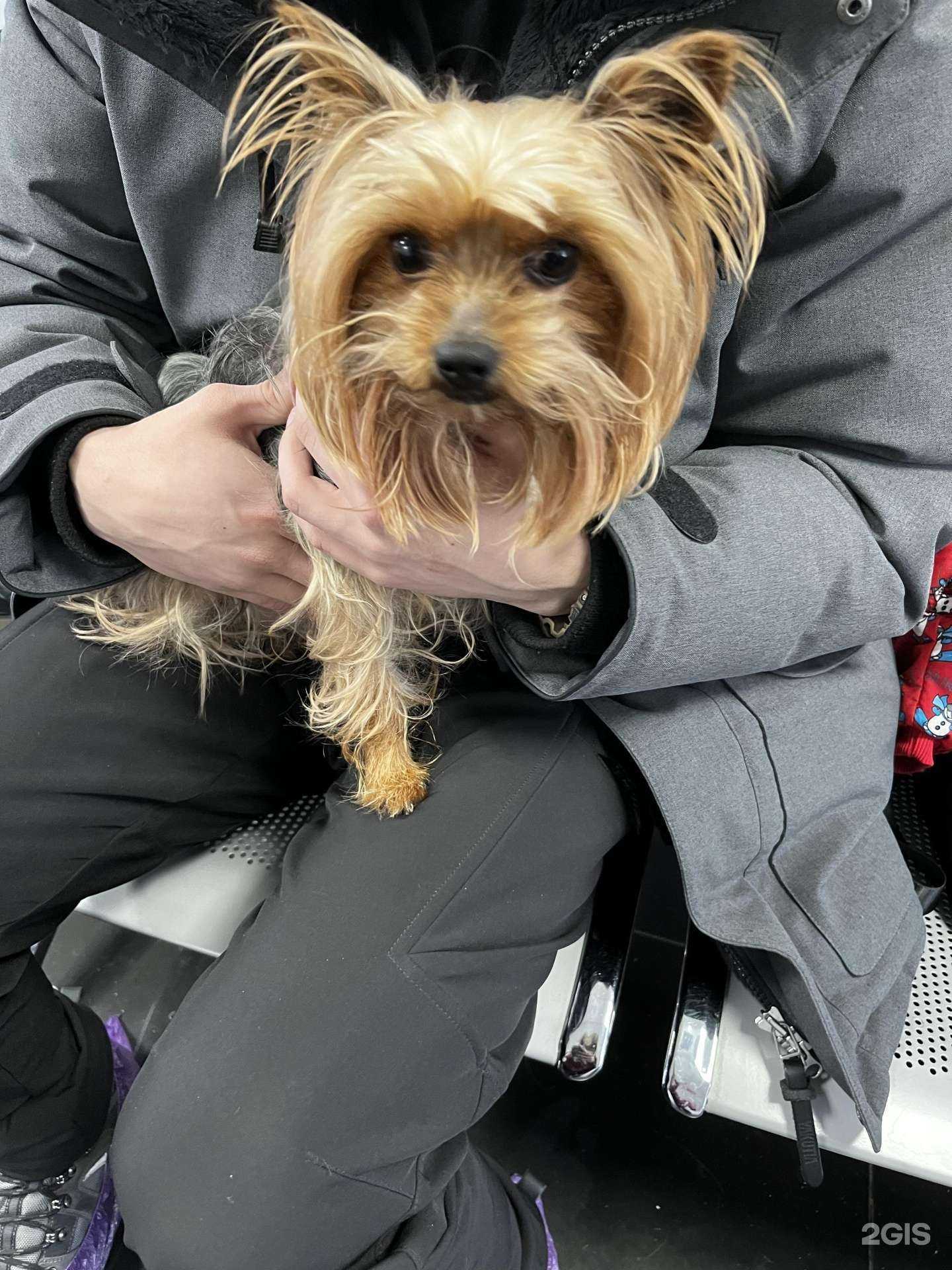 Отзывы на компанию Дарвин в г. Якутск c фото