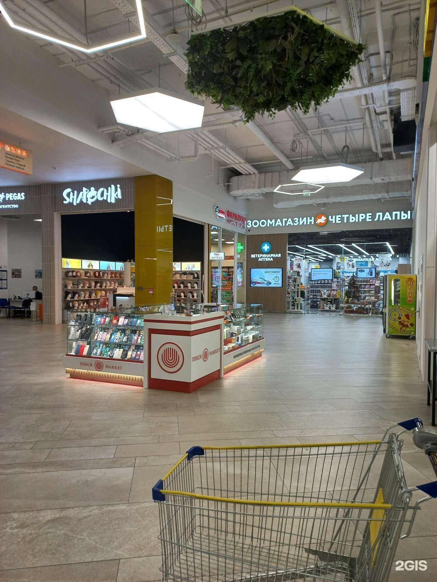 Отзывы на компанию Четыре лапы в Казани c фото