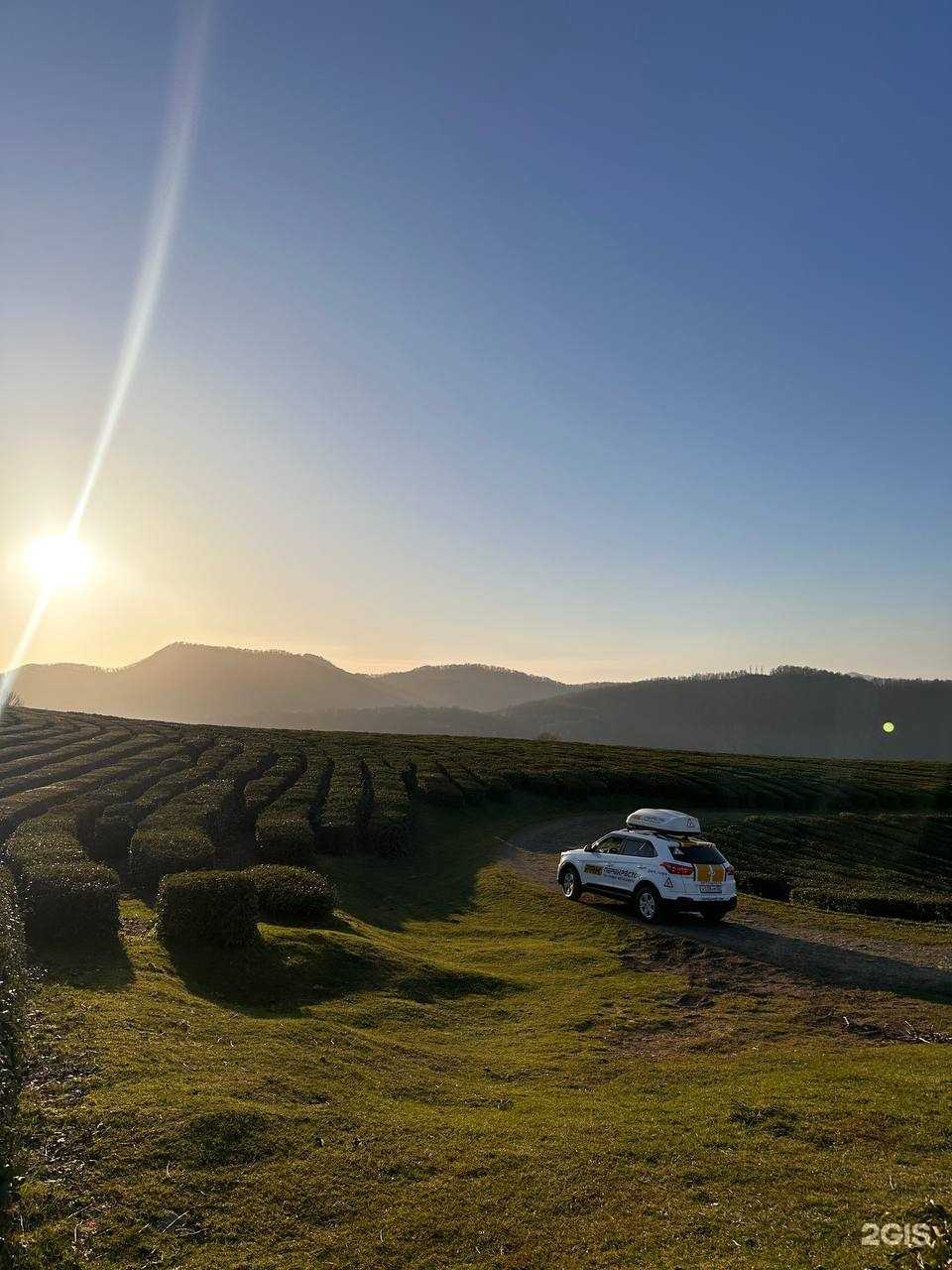 Отзывы на компанию Перекрёсток в Сочи c фото