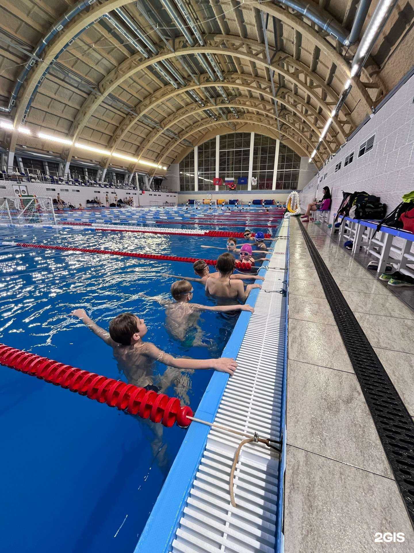 Отзывы на компанию Swimlane в г. Волгоград c фото