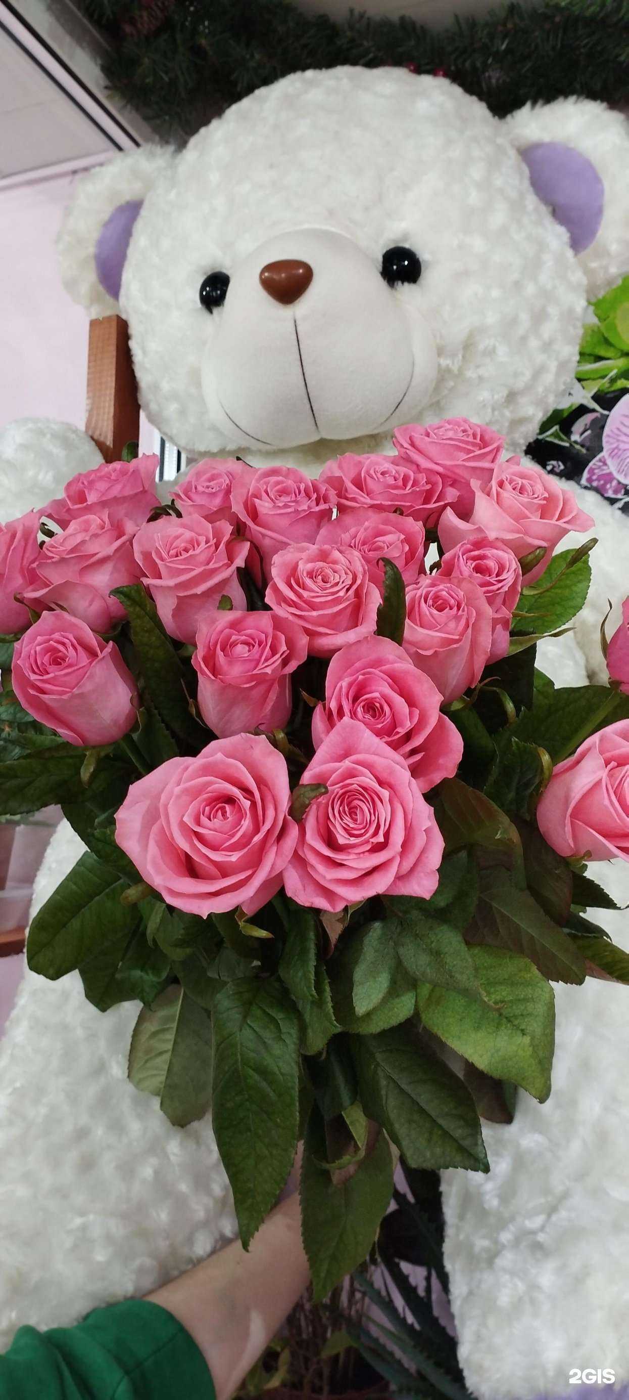 Отзывы на компанию Круглоцвет в Барнауле c фото