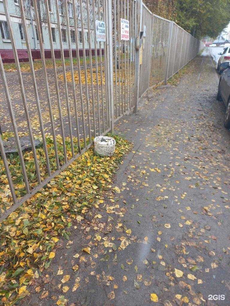 Отзывы на компанию Школа-интернат № 71 для обучающихся с ограниченными возможностями здоровья городского округа Самара в Самаре c фото