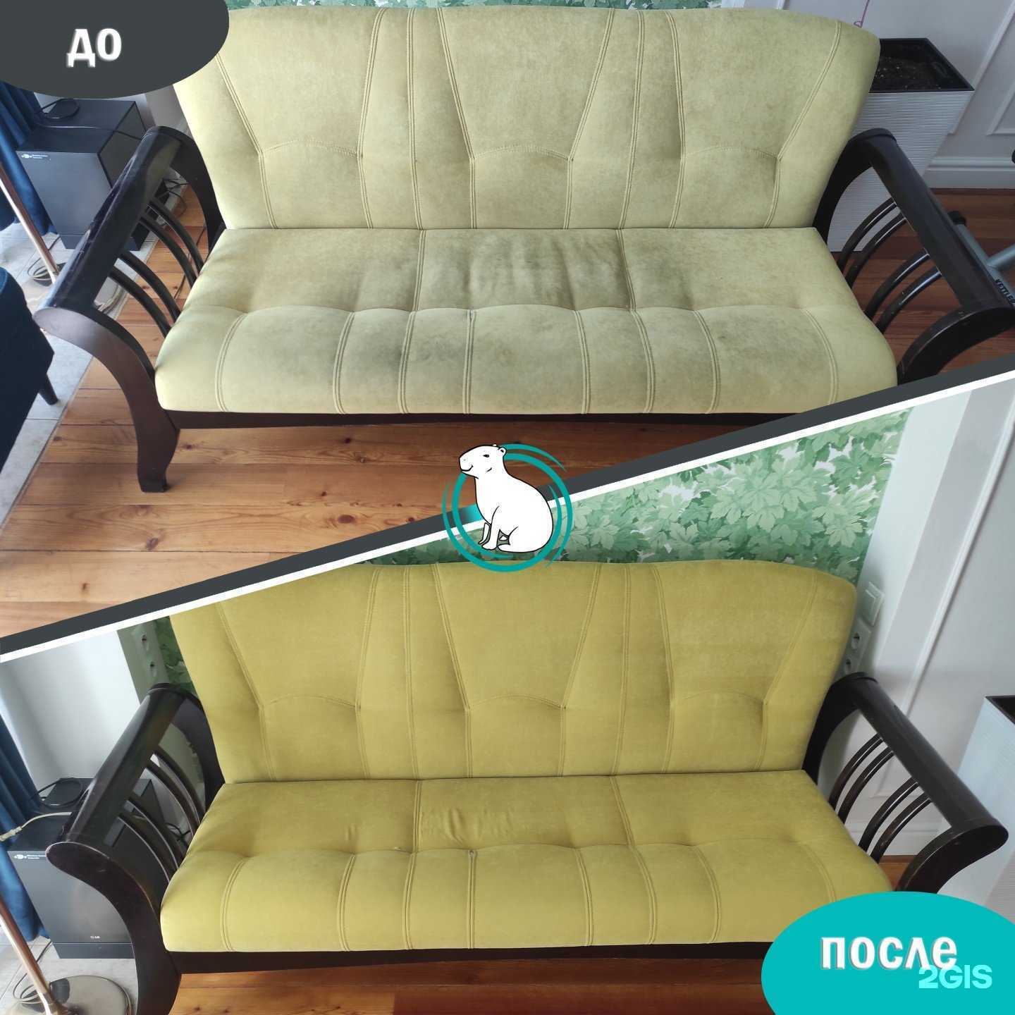 Отзывы на компанию Капибара в г. Новосибирск c фото