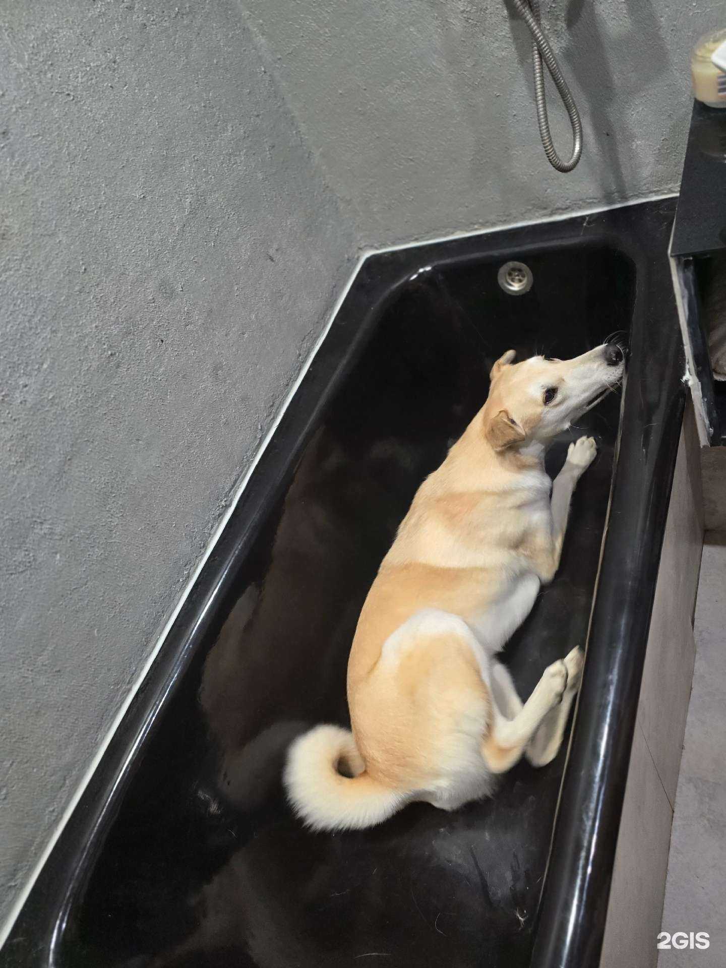 Отзывы на компанию Рестовратор в Ижевске c фото