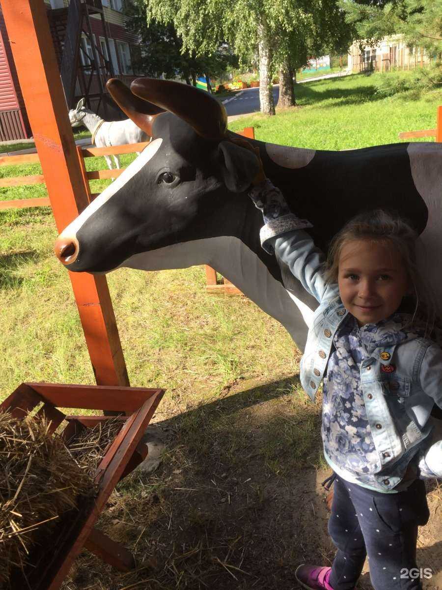 Отзывы на компанию Детский сад №165 в Новосибирске c фото