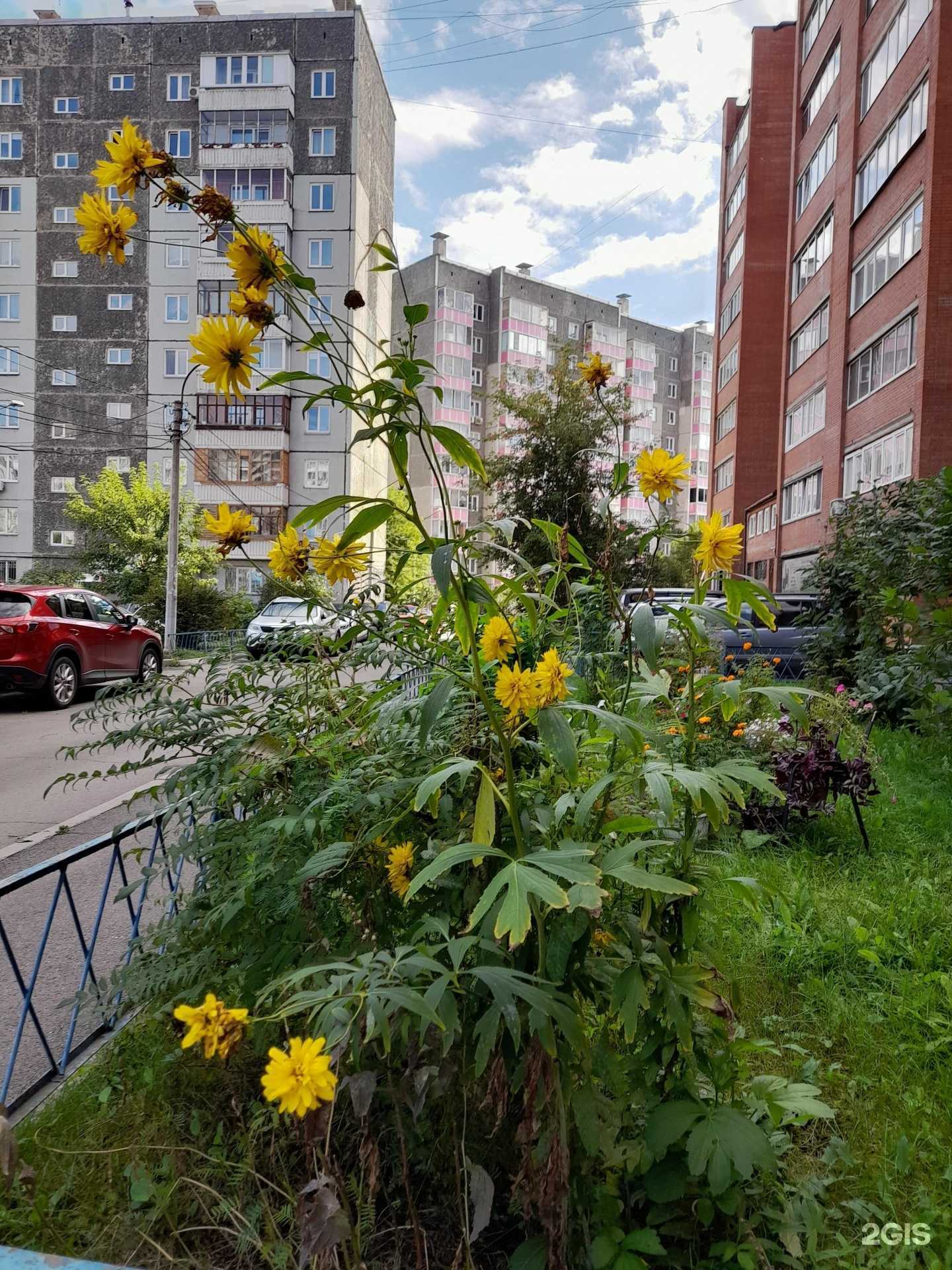 Отзывы на компанию Бархат в Красноярске c фото - фотография 2 из 2