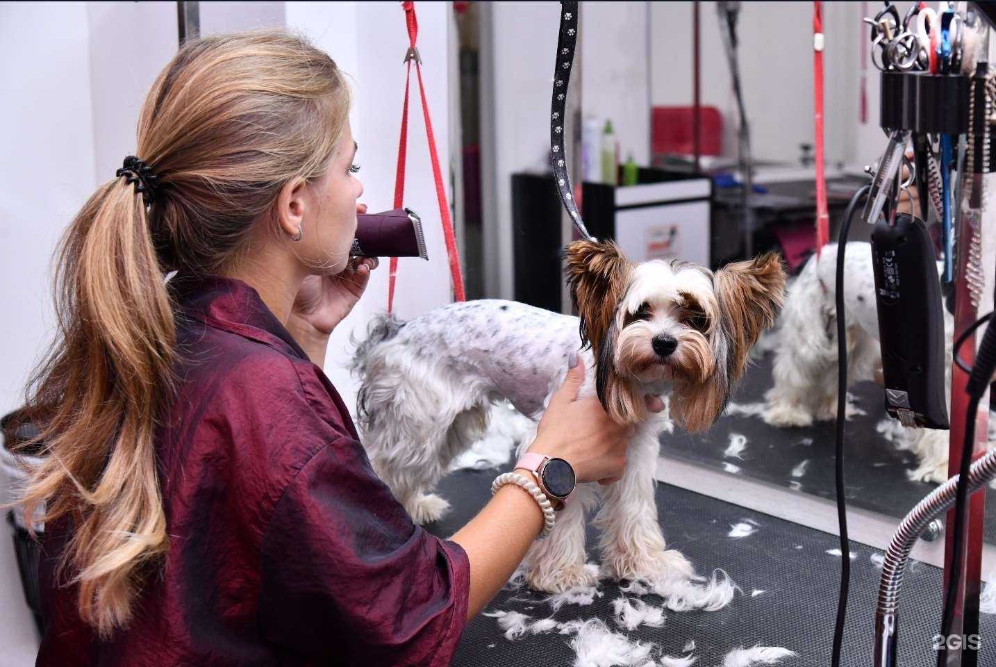 Отзывы на компанию Бомондгрум в г. Самара c фото