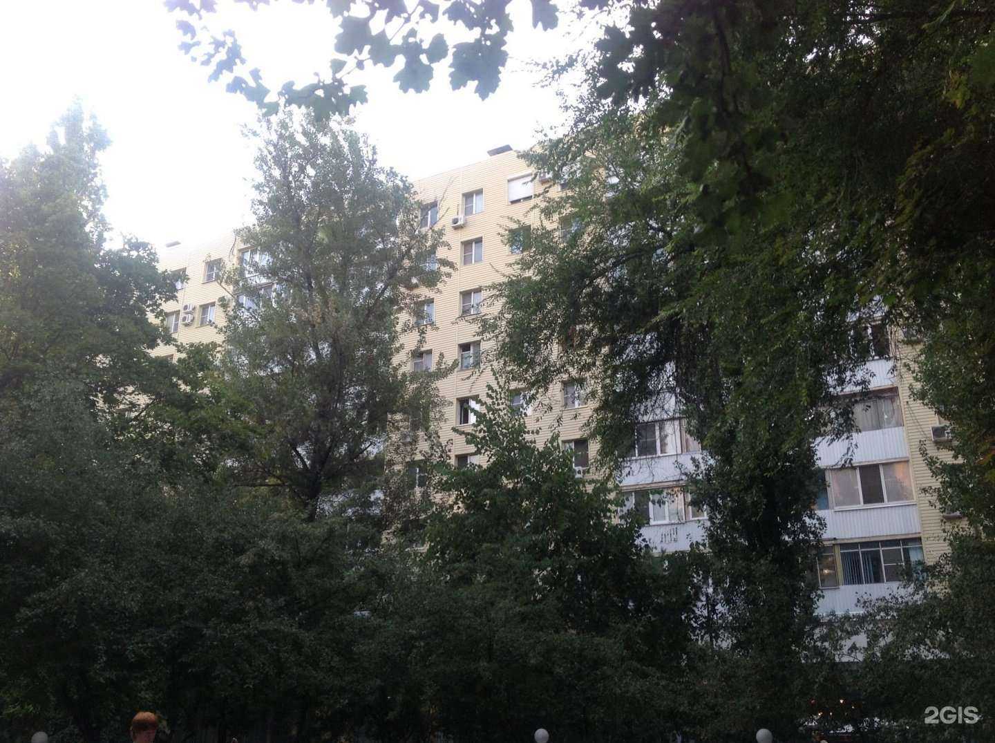 Отзывы на компанию Setter`s в Ростове-на-Дону c фото - фотография 2 из 2