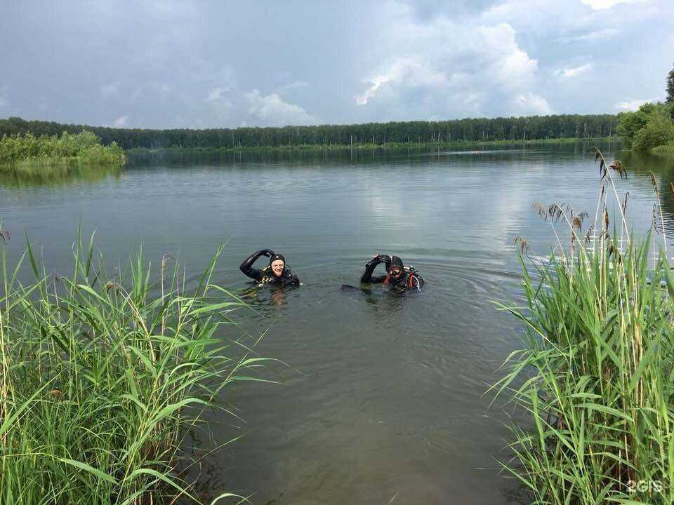 Отзывы на компанию Нерпа в Новосибирске c фото