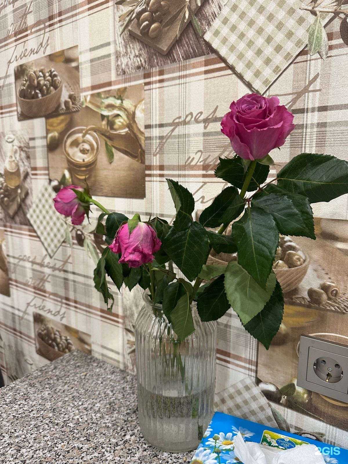 Отзывы на компанию FlorSeason в Калуге c фото