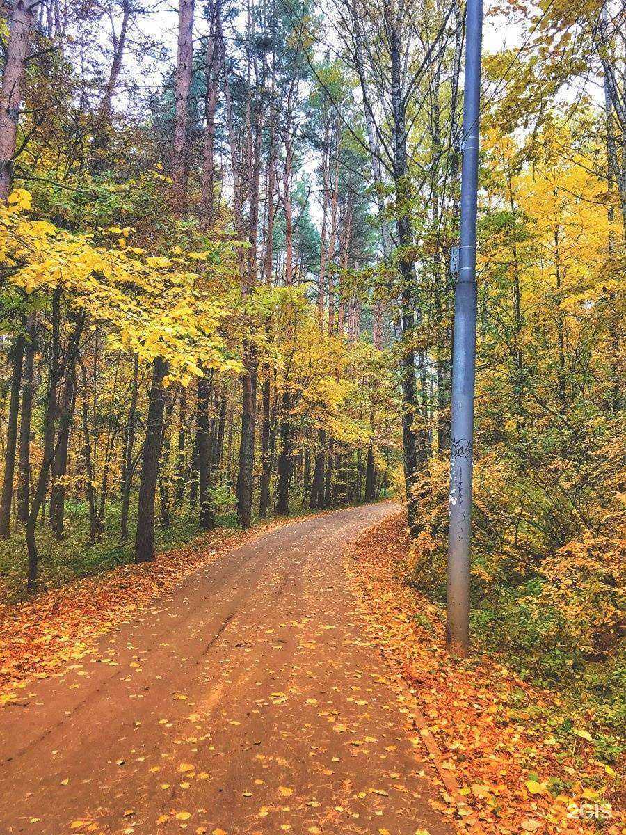 Отзывы на компанию Лесная поляна в Грозном c фото