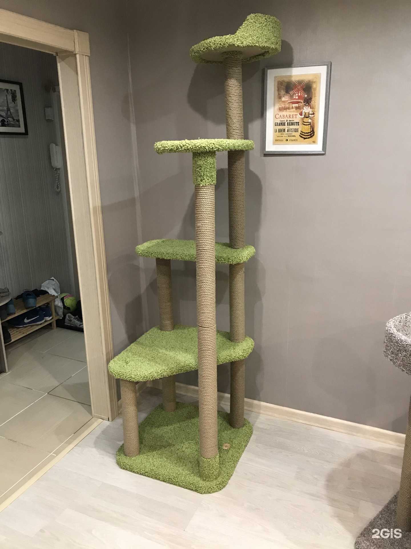 Отзывы на компанию Моя котя в Смоленске c фото