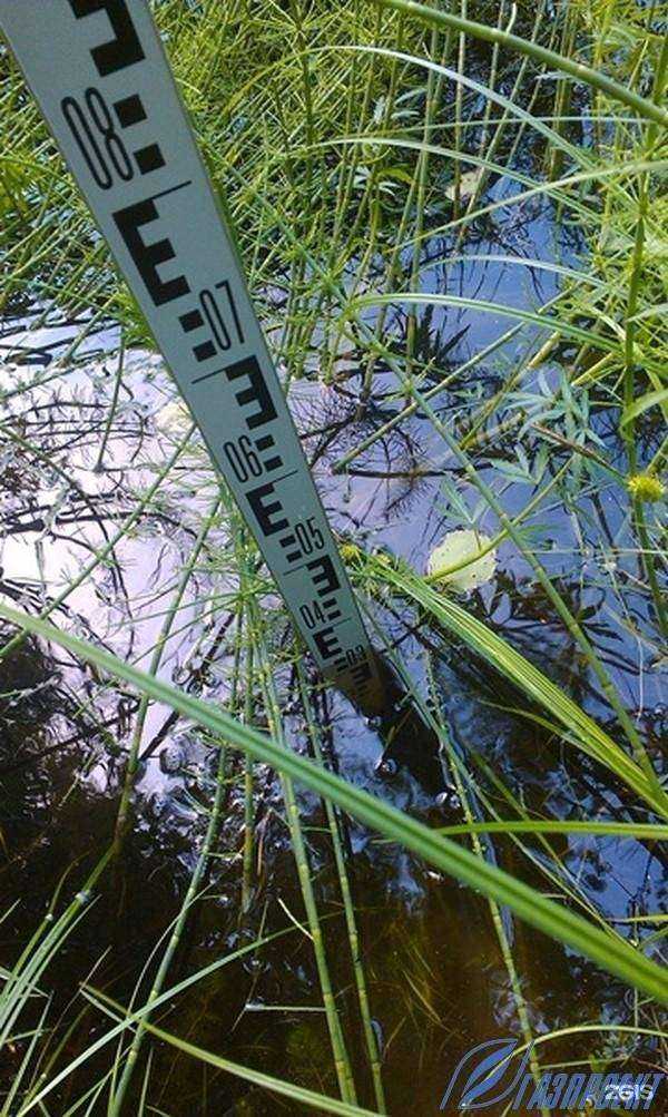 Отзывы на компанию Газпроект в Саратове c фото