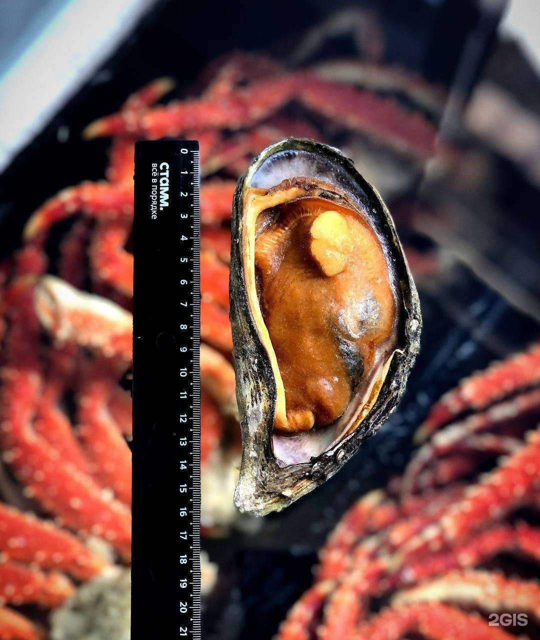 Отзывы на компанию Держи краба в г. Владивосток c фото