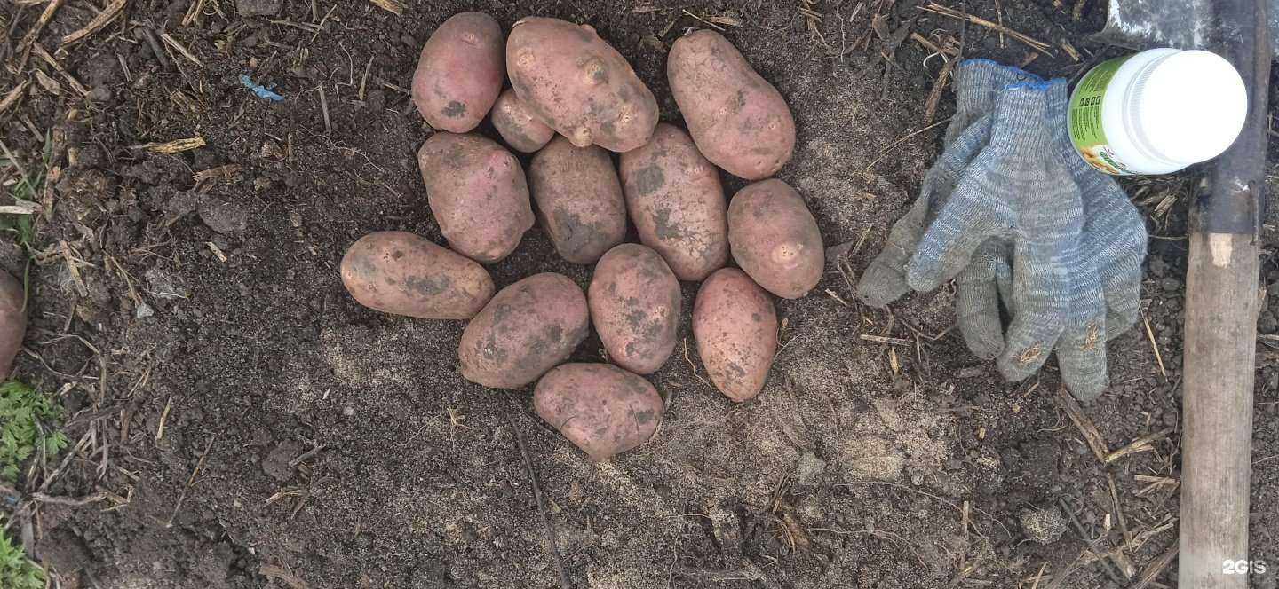 Отзывы на компанию Зоокорм в г. Омск c фото