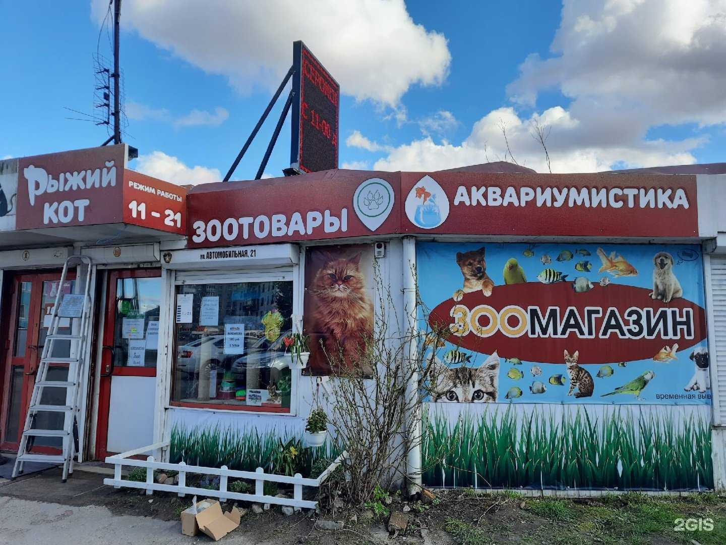 Отзывы на компанию Рыжий Кот в г. Калининград c фото