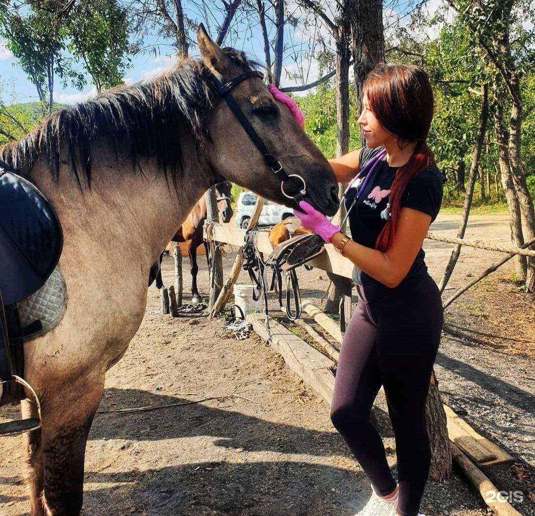 Отзывы на компанию Dallas в г. Владивосток c фото