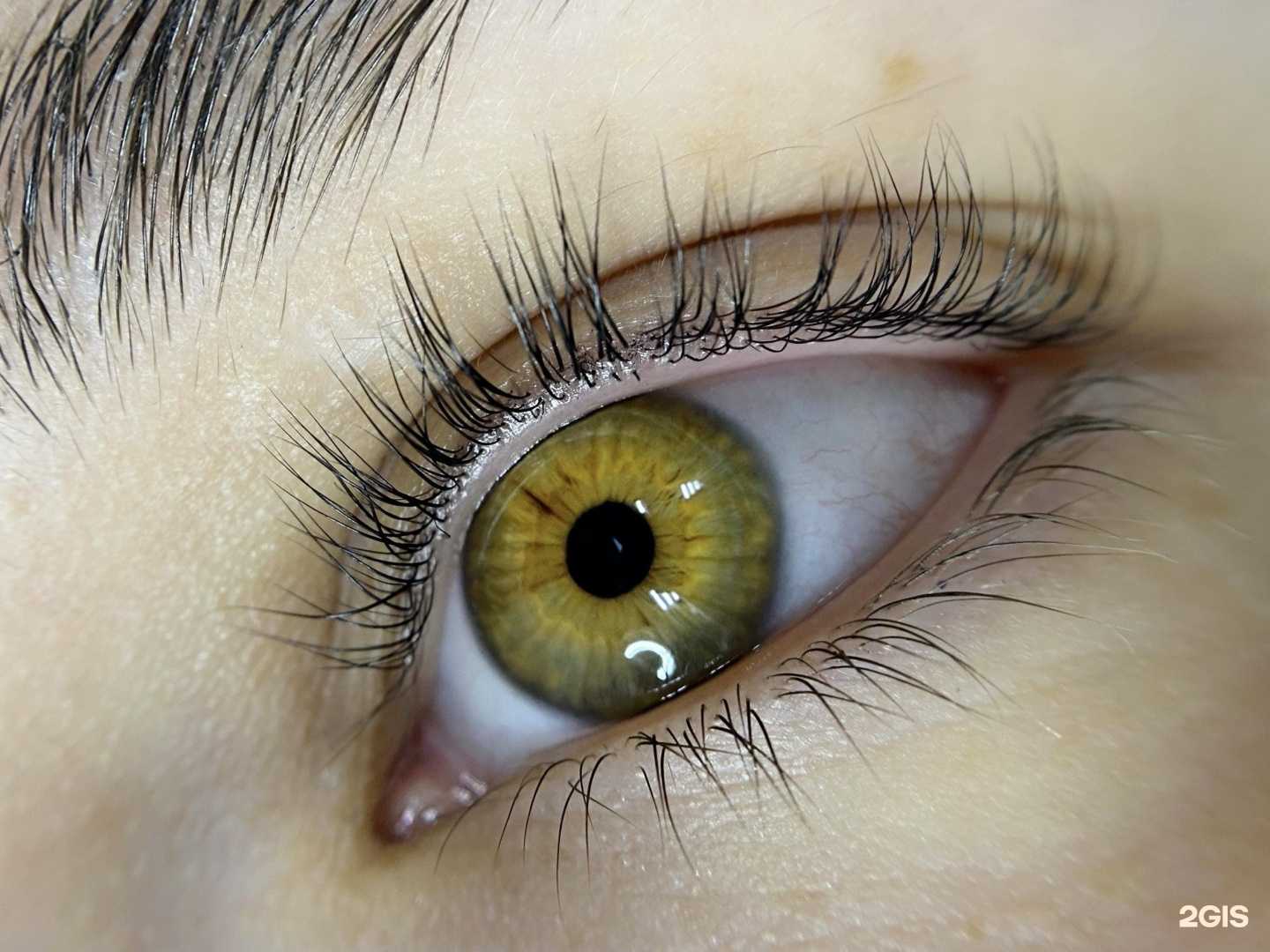 Отзывы на компанию Tiffany Lash в Красноярске c фото