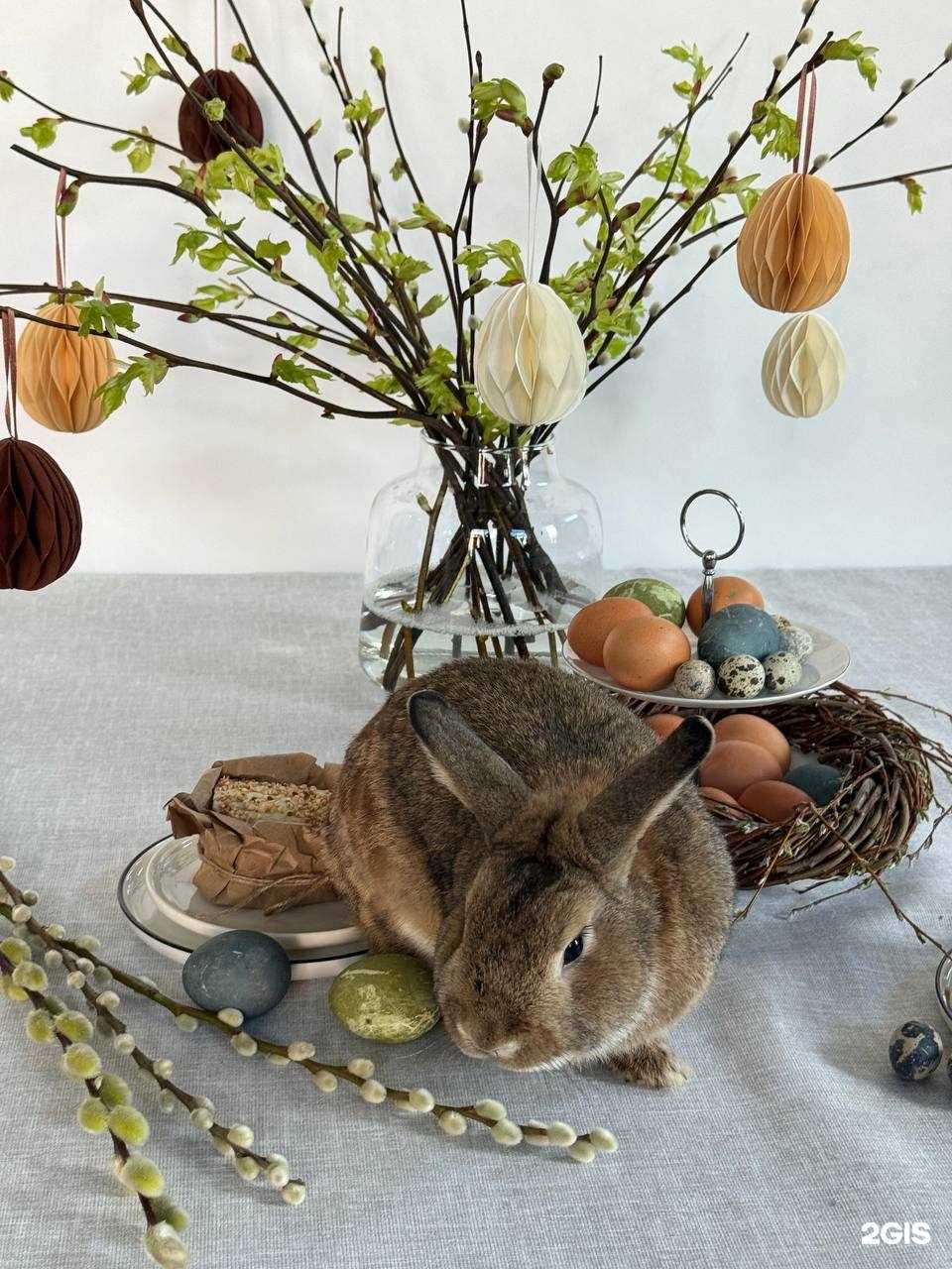 Отзывы на компанию Милая голубка в Ярославле c фото