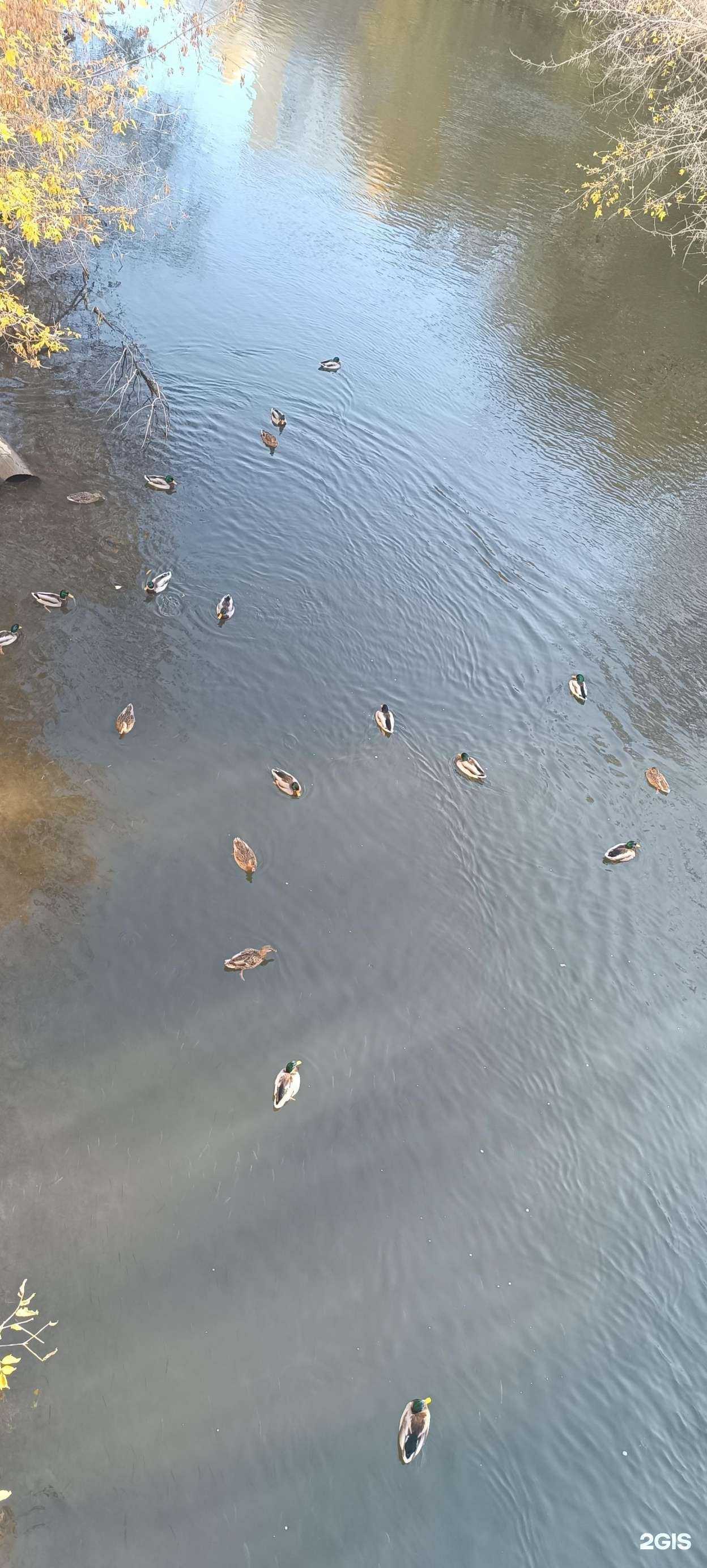 Отзывы на компанию Водомир в Уфе c фото - фотография 2 из 2