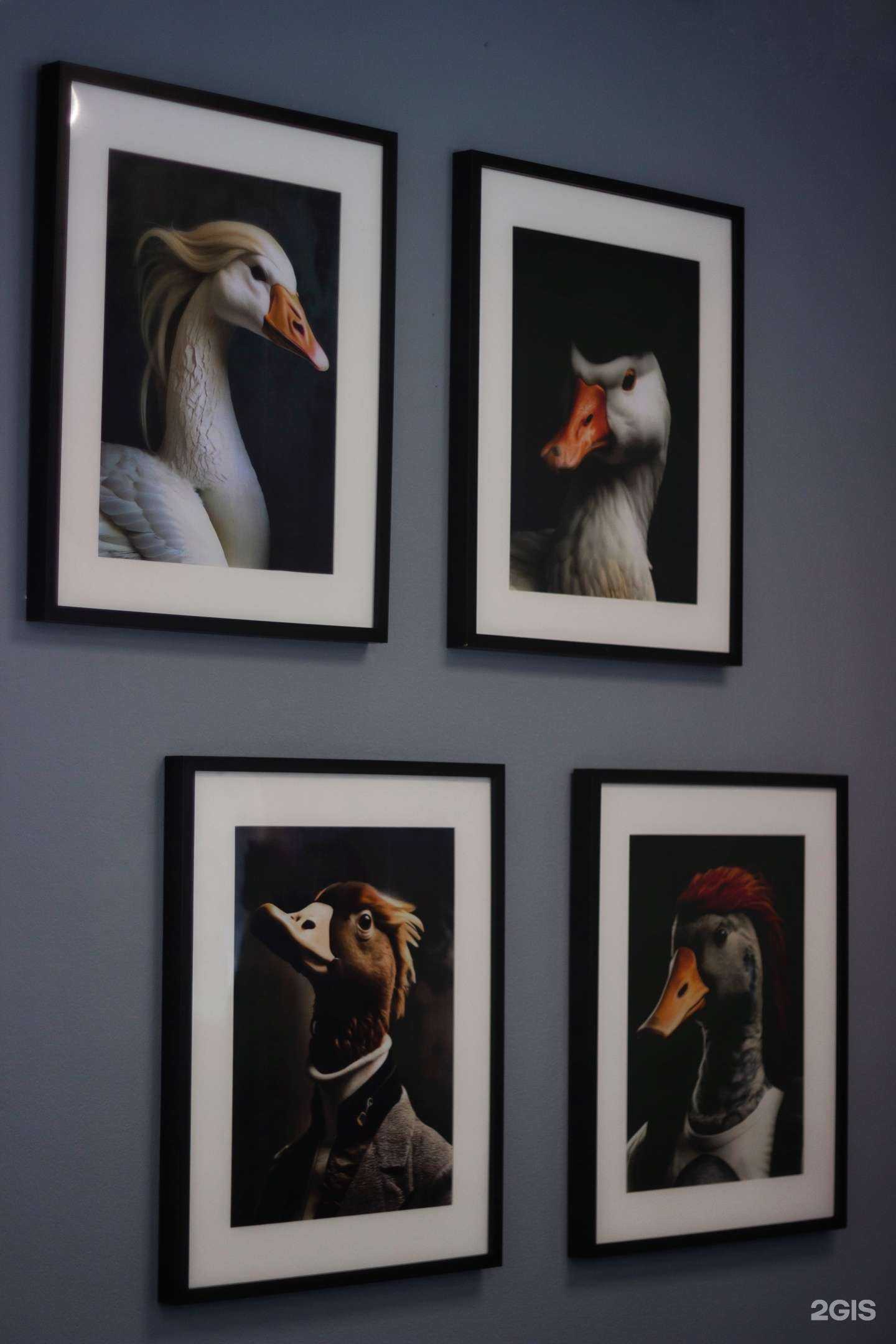 Отзывы на компанию СтриГусь в Новосибирске c фото