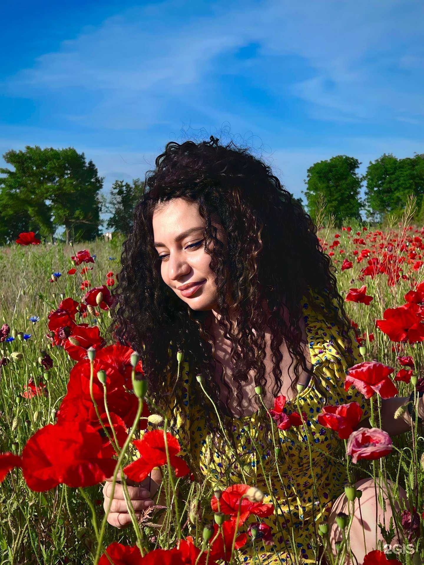 Отзывы на компанию ArsaVik afro в Ставрополе c фото