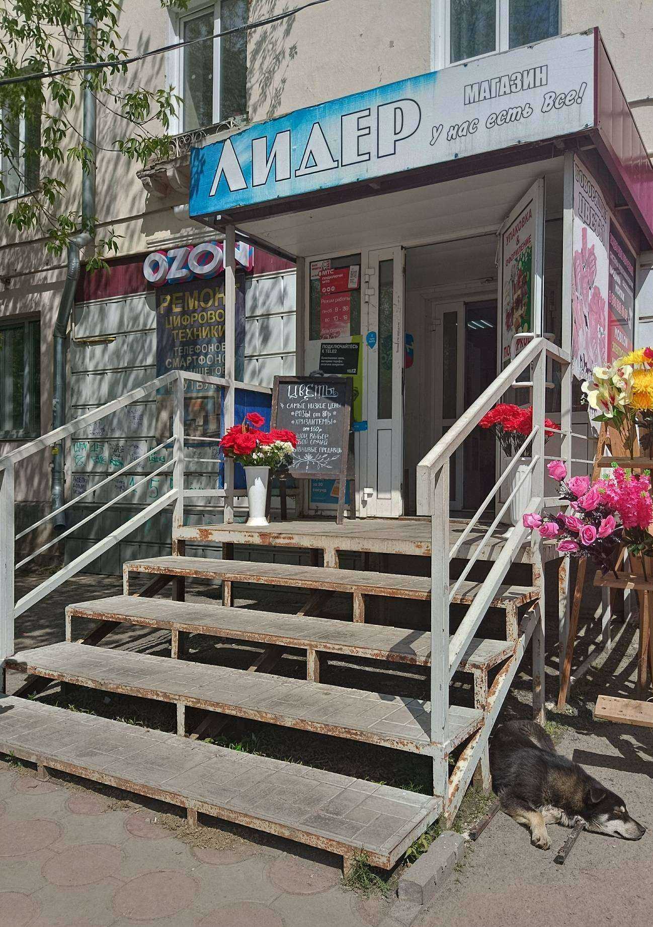 Отзывы на компанию Мобилон в Копейске c фото