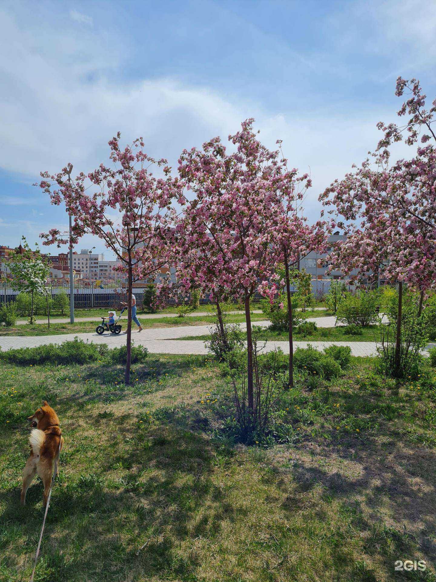 Отзывы на компанию Слетать.ру в Альметьевске c фото - фотография 2 из 2